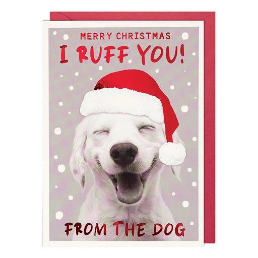 From the Dog Christmas Card