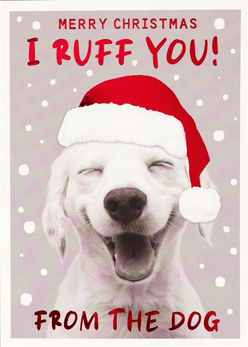From the Dog Christmas Card