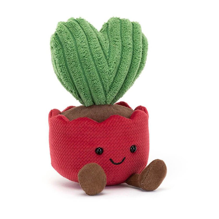 Amuseable Kerrii Cactus - House of Cards