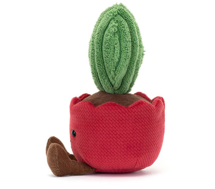 Amuseable Kerrii Cactus - House of Cards