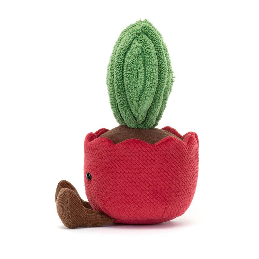 Amuseable Kerrii Cactus - House of Cards