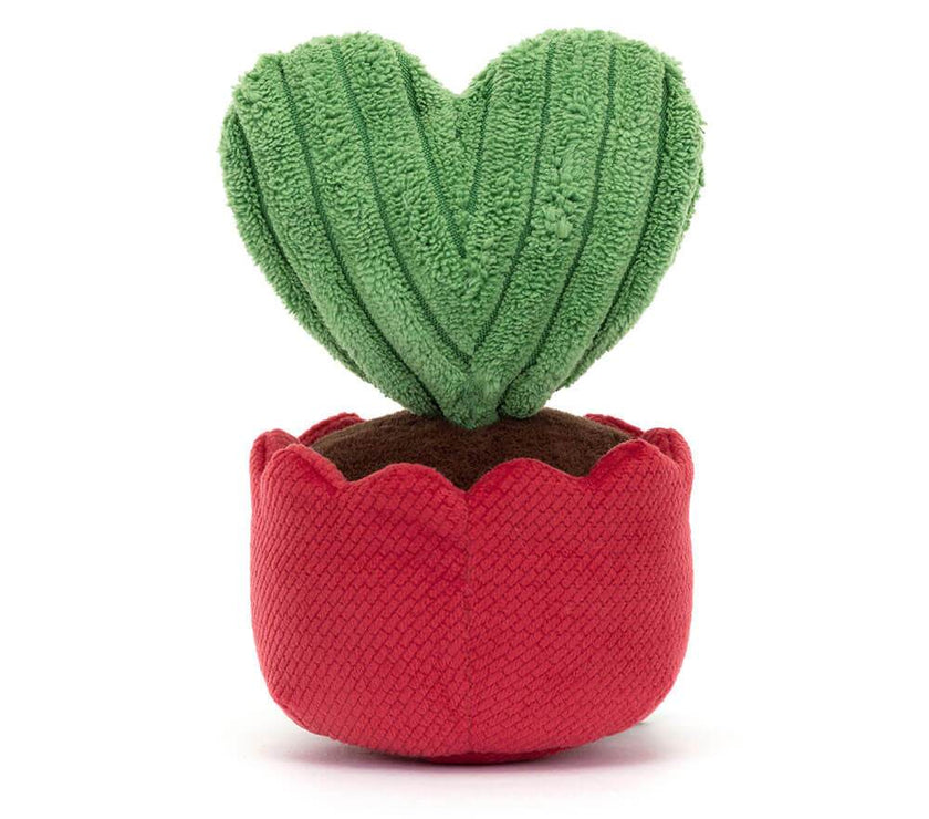 Amuseable Kerrii Cactus - House of Cards