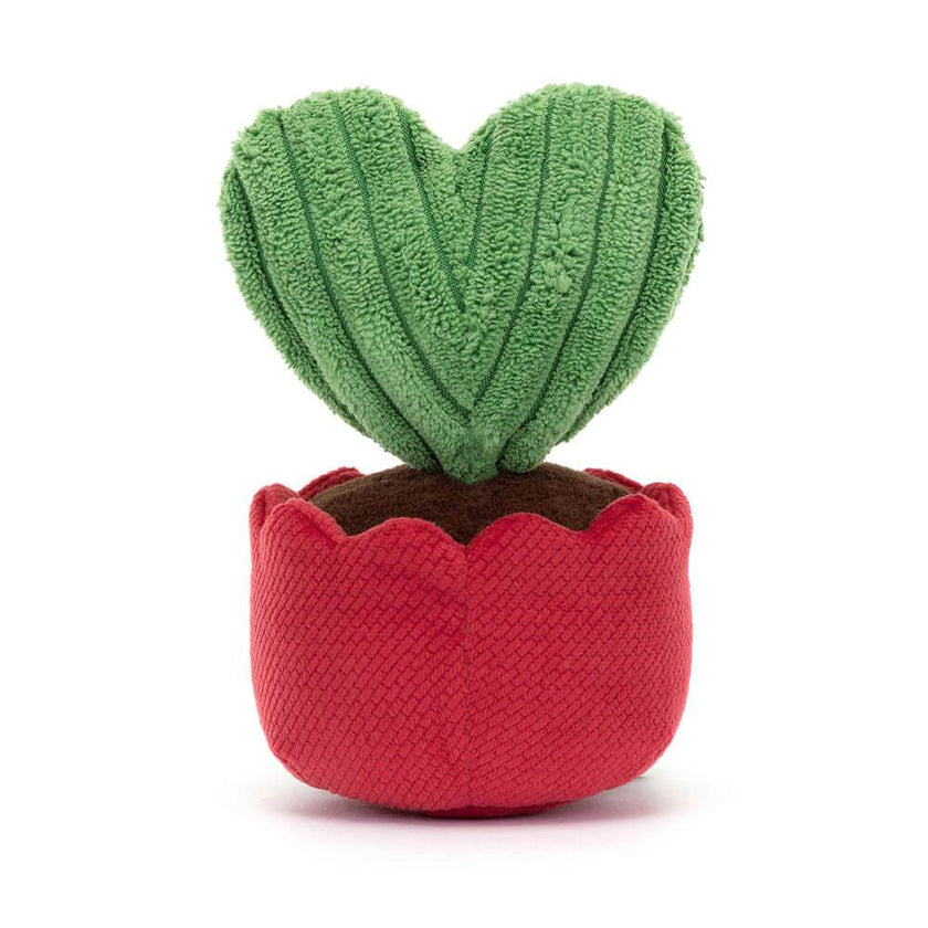Amuseable Kerrii Cactus - House of Cards