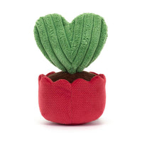 Amuseable Kerrii Cactus - House of Cards