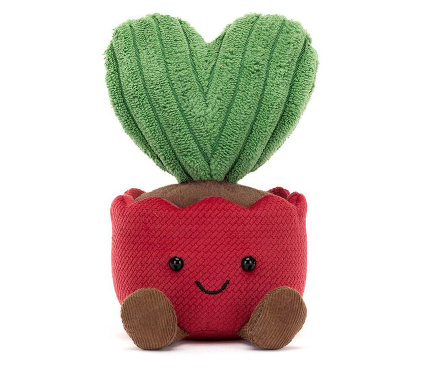 Amuseable Kerrii Cactus - House of Cards