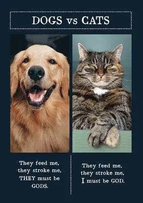 Dogs Vs Cats Birthday Card - House of Cards