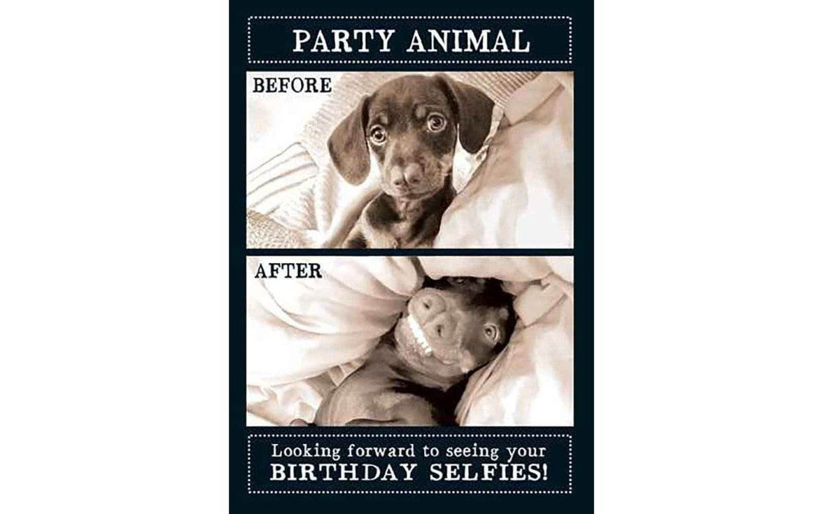 Party Animal Birthday Card - House of Cards