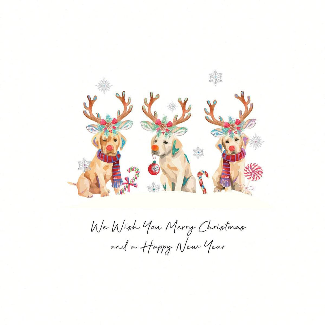 Dogs Christmas Boxed Cards - House of Cards