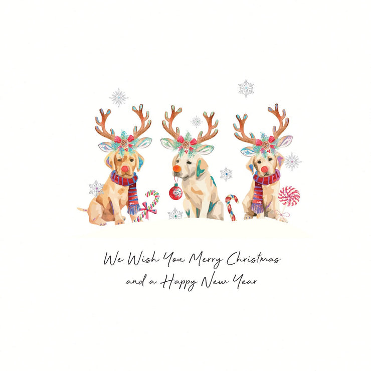 Dogs Christmas Boxed Cards