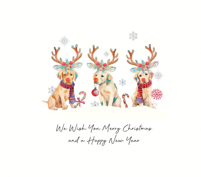 Dogs Christmas Boxed Cards