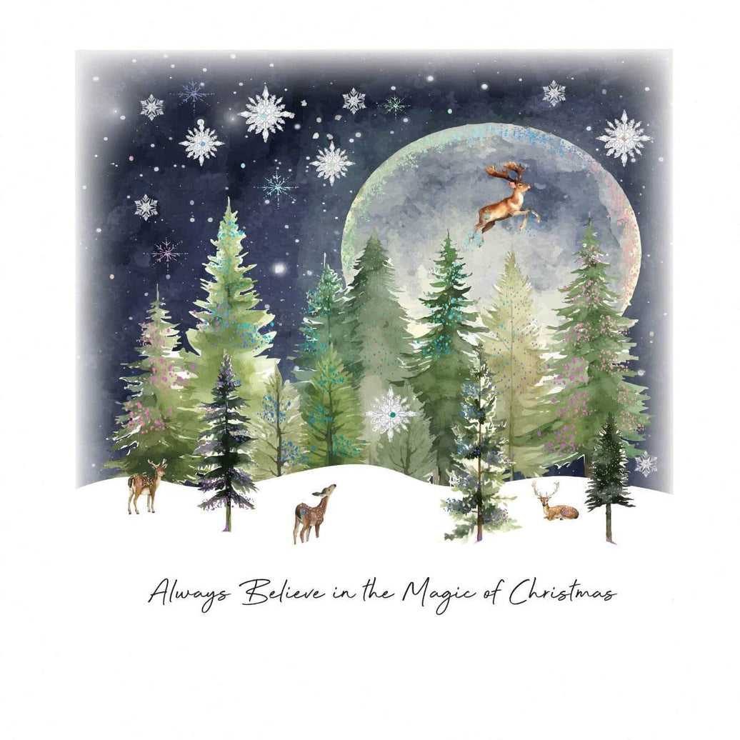 Magic Christmas Boxed Cards - House of Cards