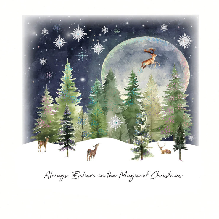 Magic Christmas Boxed Cards