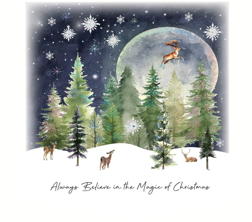 Magic Christmas Boxed Cards