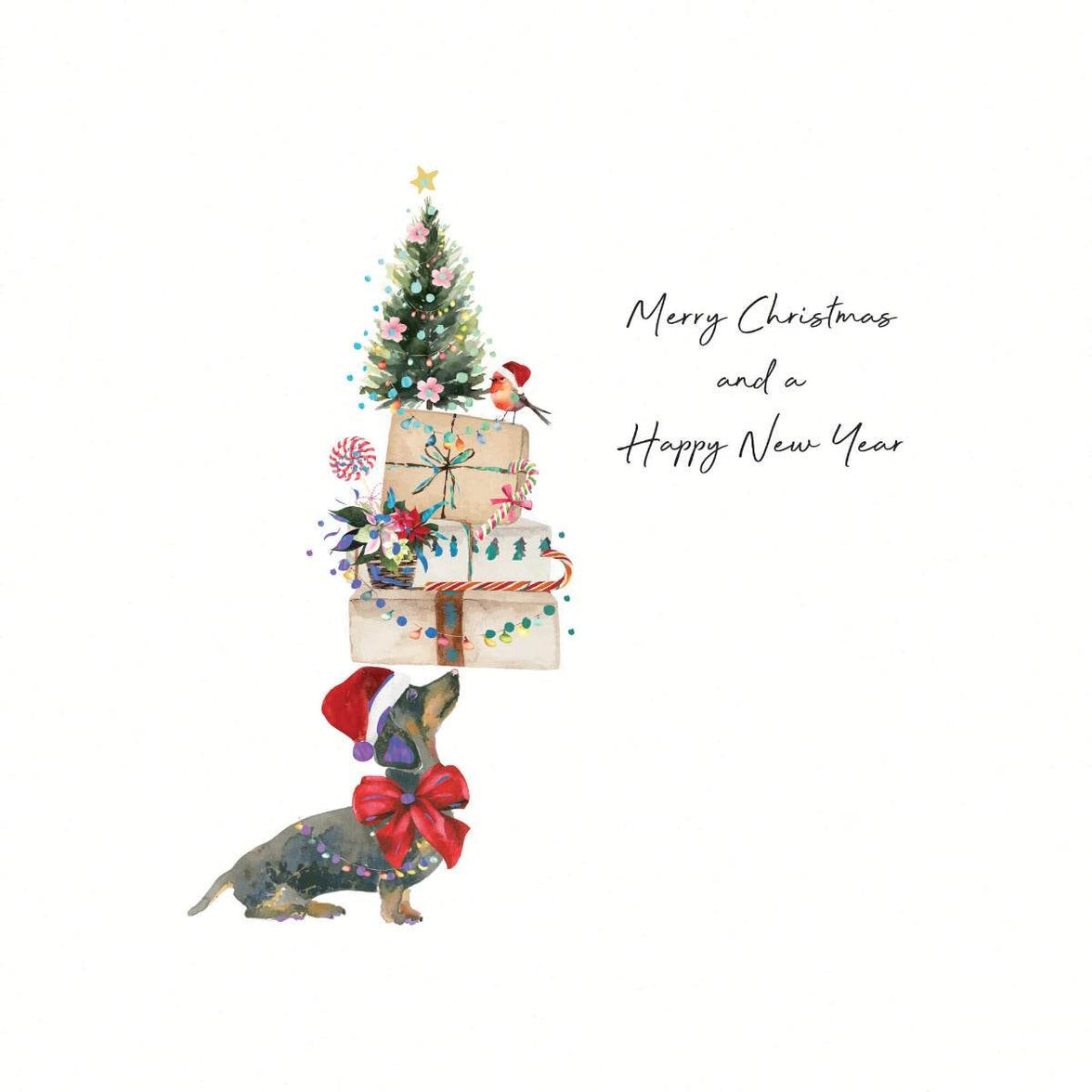 Dachshund Christmas Boxed Cards - House of Cards