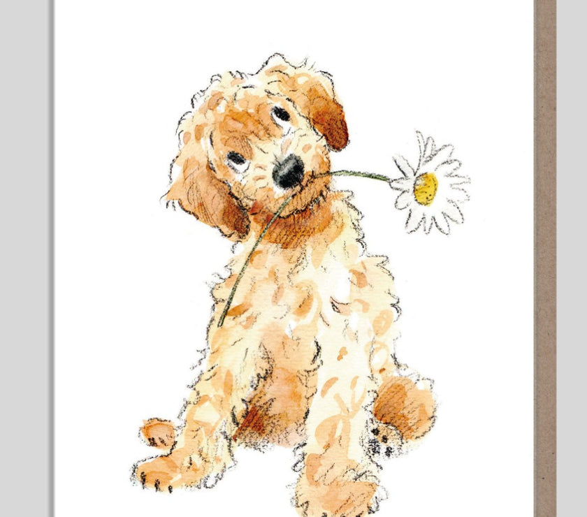 Thank You Cockapoo Card