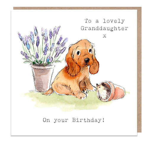 Granddaughter Birthday Card