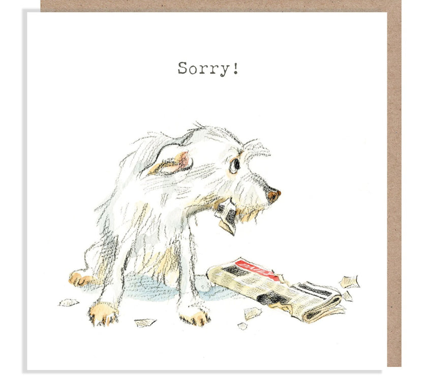 Sorry Card