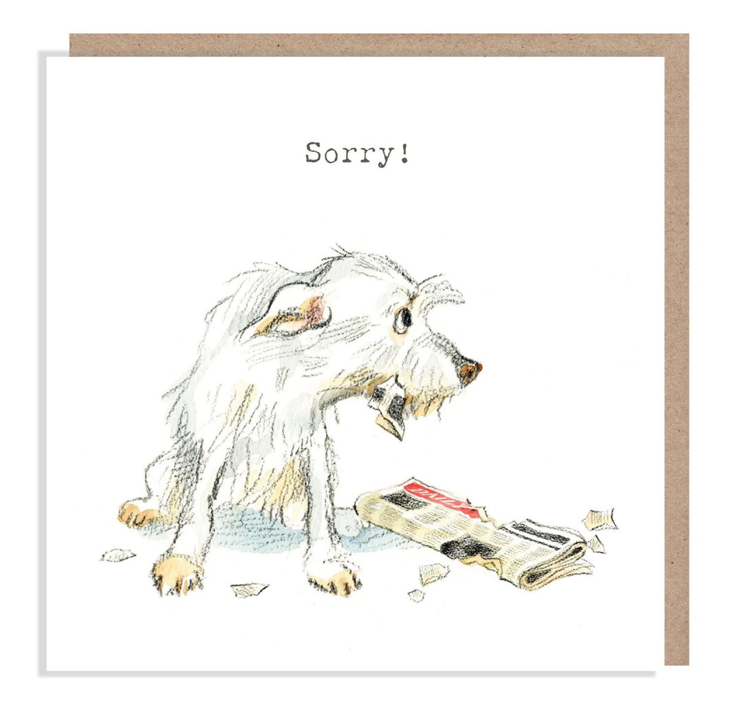 Sorry Card