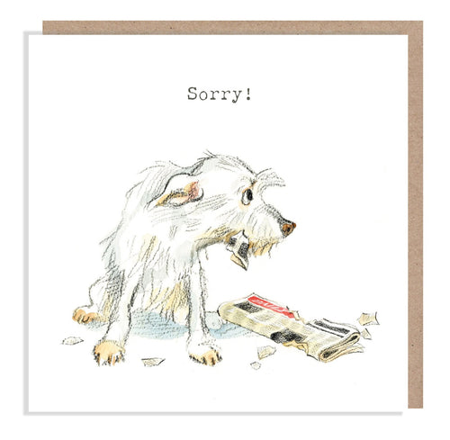 Sorry Card