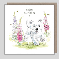 Westie Birthday Card
