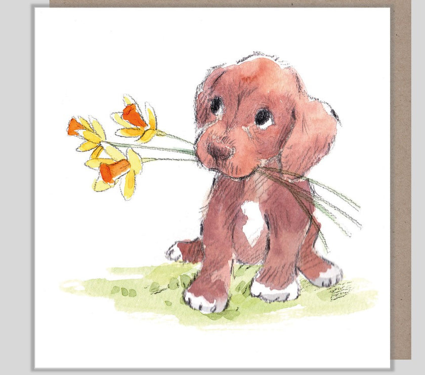 Chocolate Puppy Birthday Wishes Card