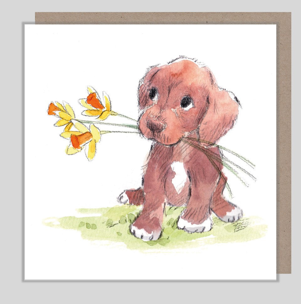 Chocolate Puppy Birthday Wishes Card