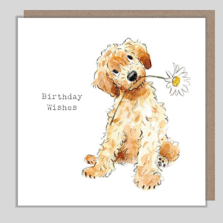 Cockapoo Birthday Wishes Card