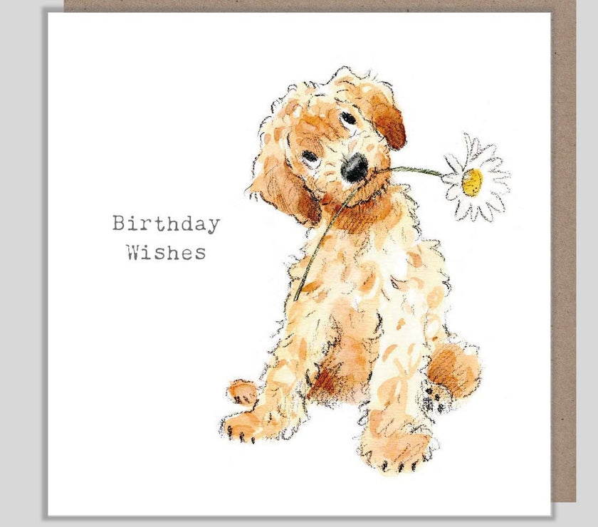 Cockapoo Birthday Wishes Card