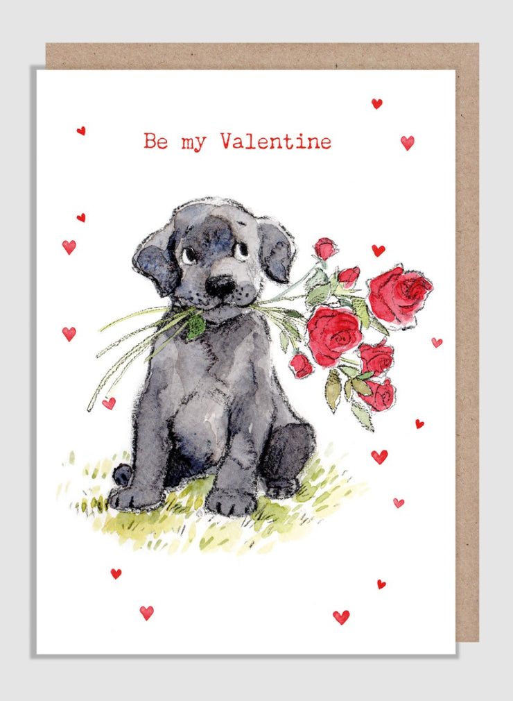 Be My Valentine Valentines Card