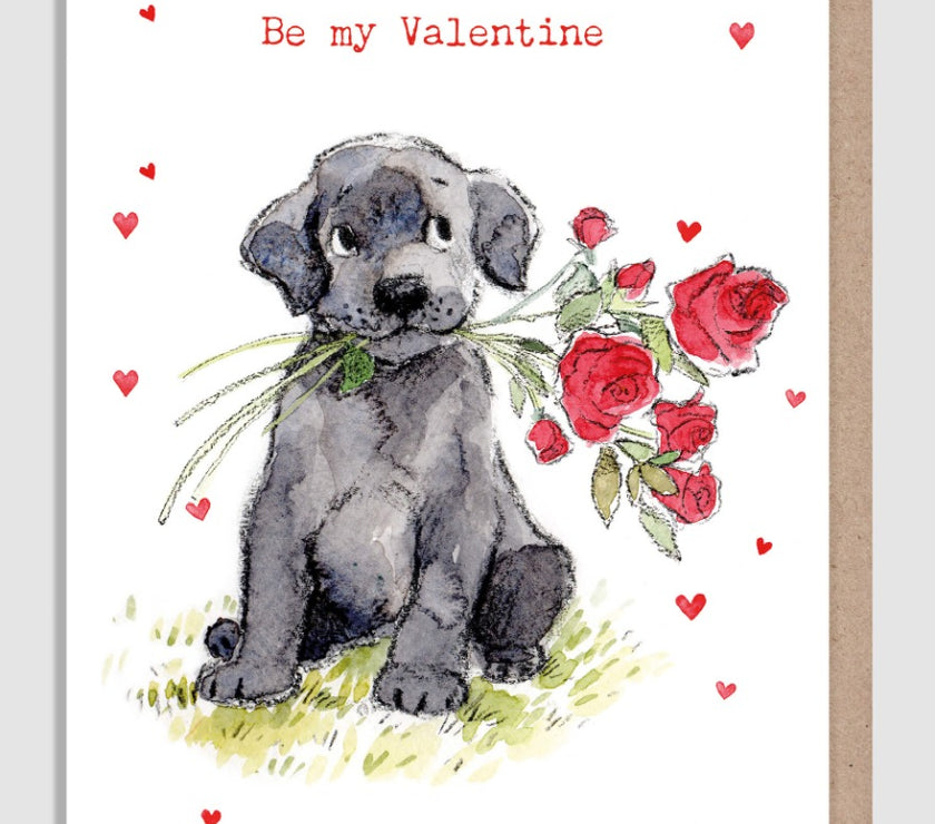 Be My Valentine Valentines Card