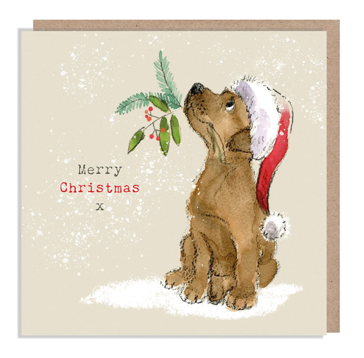 Dog and Holly Merry Christmas Card