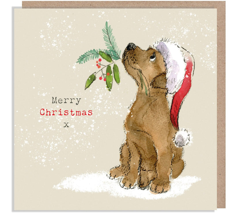 Dog and Holly Merry Christmas Card