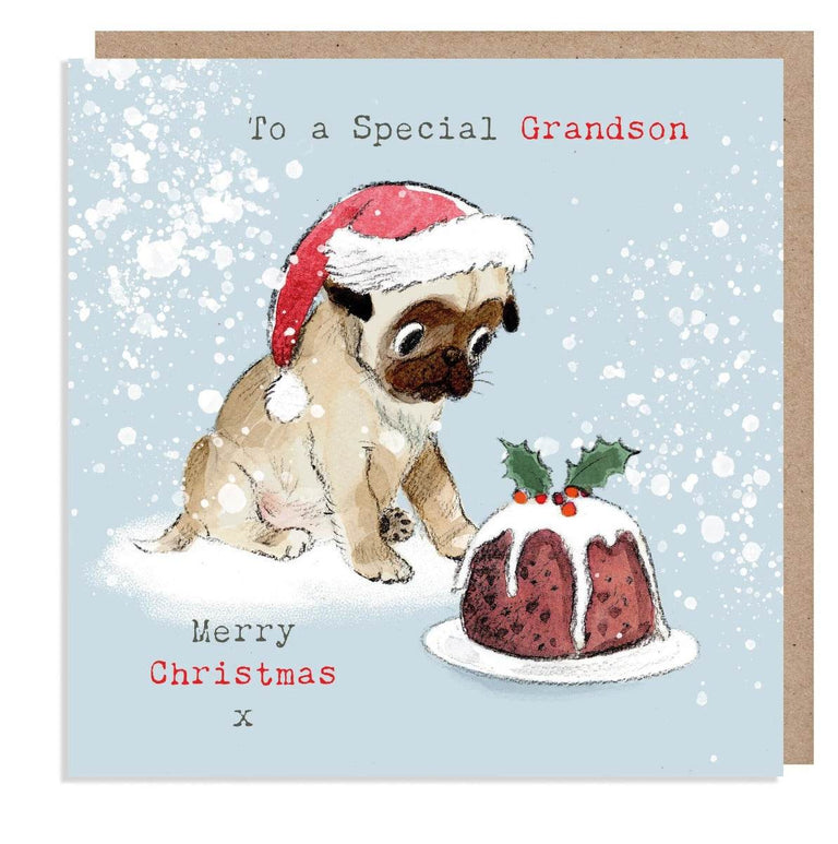 Special Grandson Merry Christmas Card - House of Cards