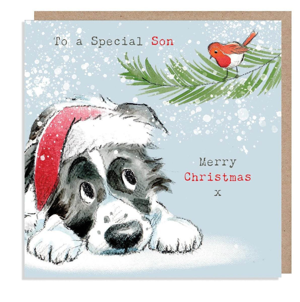 Special Son Merry Christmas Card - House of Cards