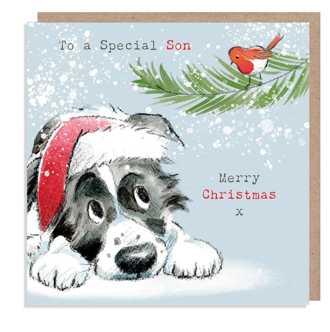 Special Son Merry Christmas Card