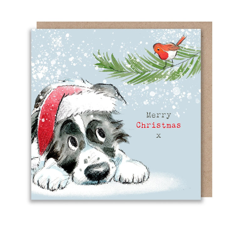 Dog and Robin Merry Christmas Card