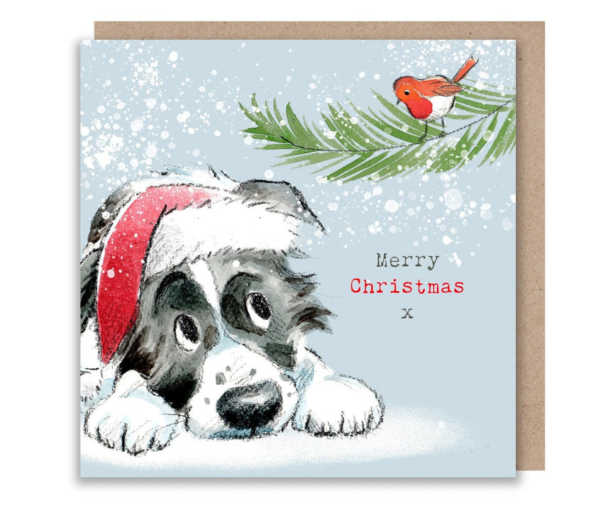 Dog and Robin Merry Christmas Card