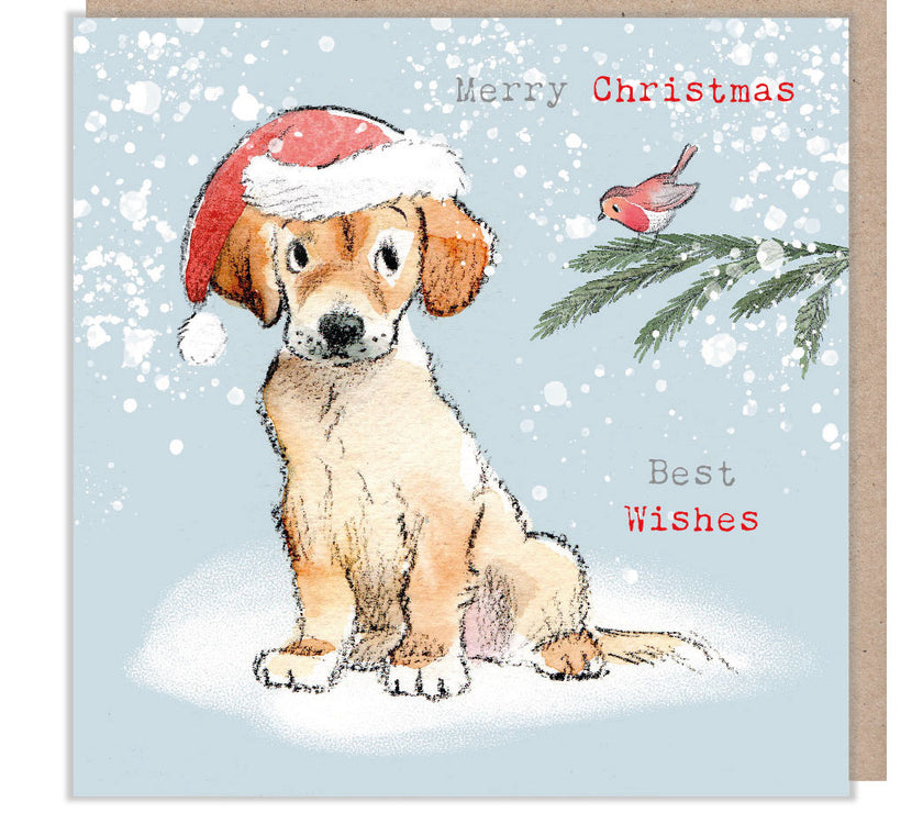 Festive Puppy and Robin Christmas Card