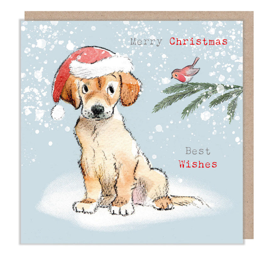 Festive Puppy and Robin Christmas Card