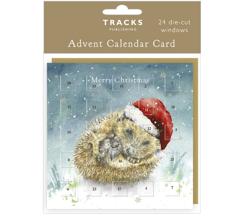 Hedgehog Advent Calendar Card