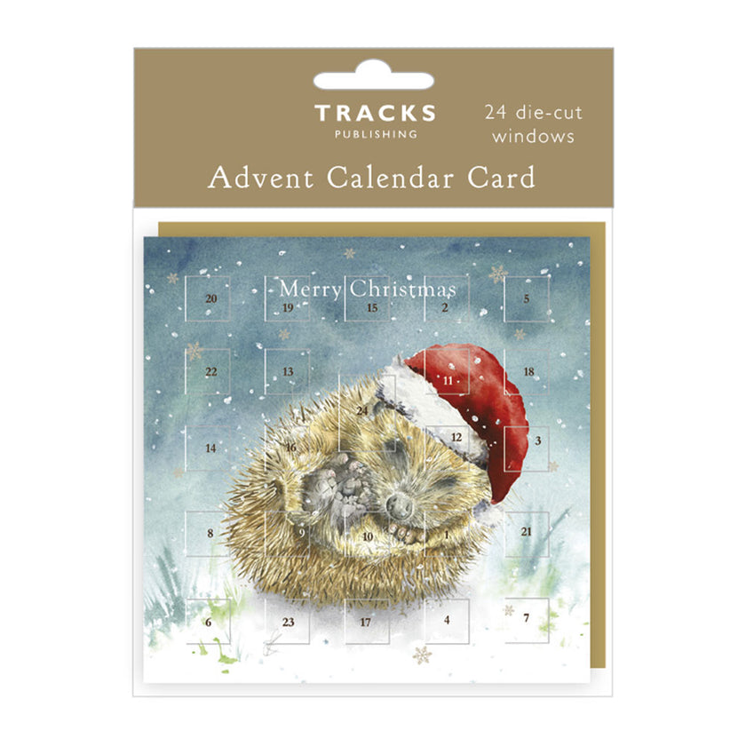 Hedgehog Advent Calendar Card
