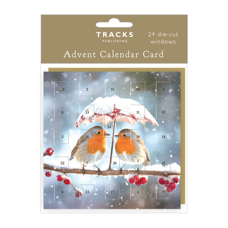 Robin Umbrella Advent Calendar Card