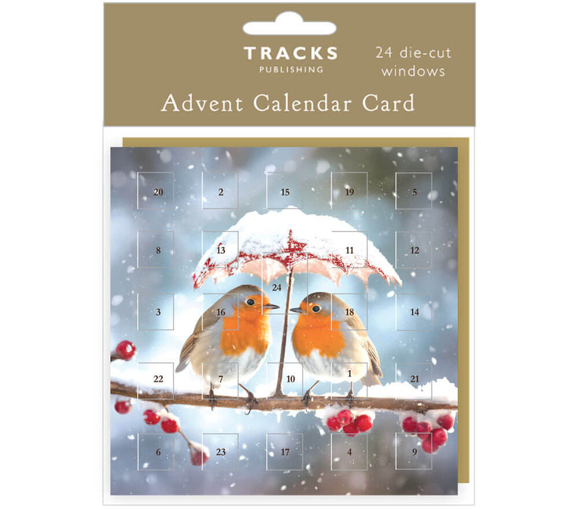 Robin Umbrella Advent Calendar Card