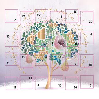 Christmas Partridge in a Pear Tree Advent Calendar Card