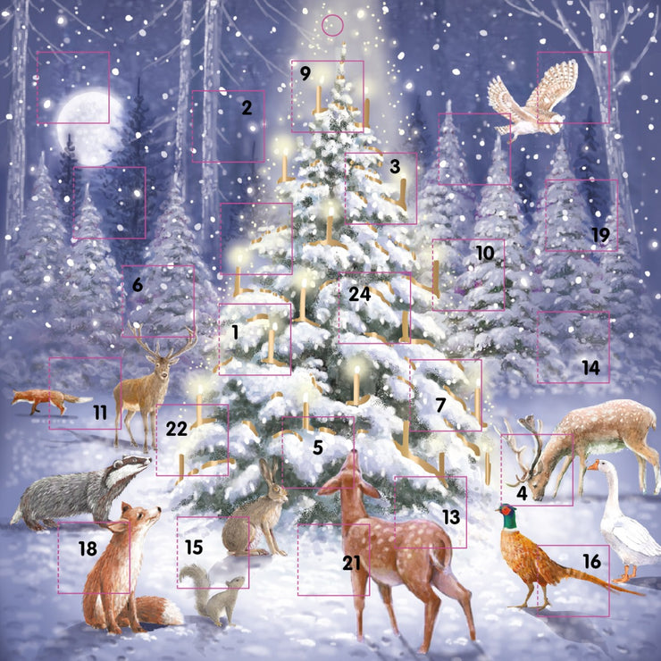 Woodland Animals Advent Calendar