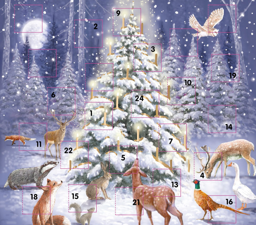 Woodland Animals Advent Calendar