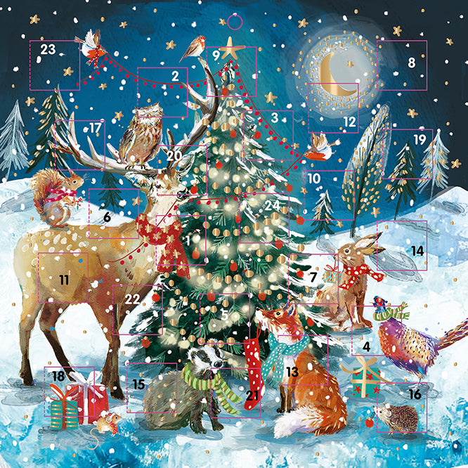 Wildlife Wanderers Square Advent Calendar