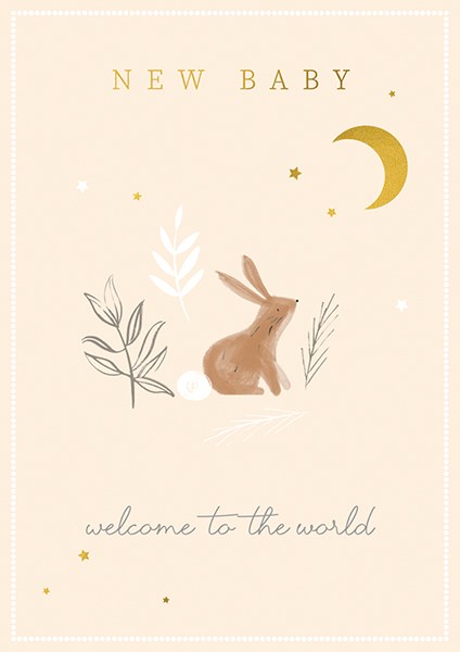 Bunny New Baby Greeting Card