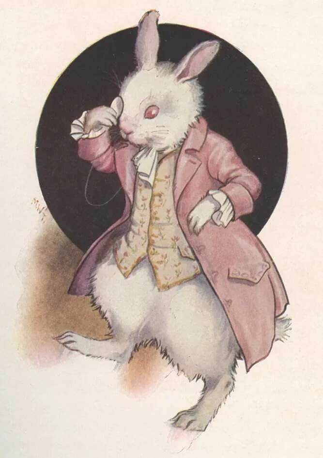 Alice White Rabbit Birthday Card - House of Cards