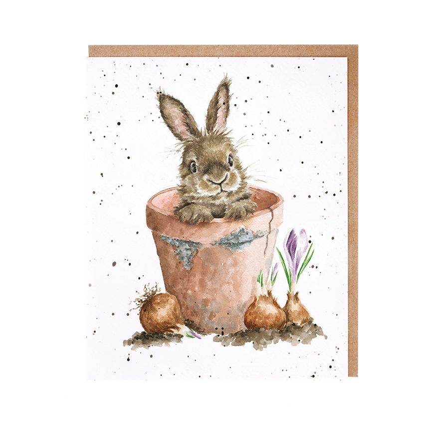 Flower Pot Rabbit Note Cards - House of Cards